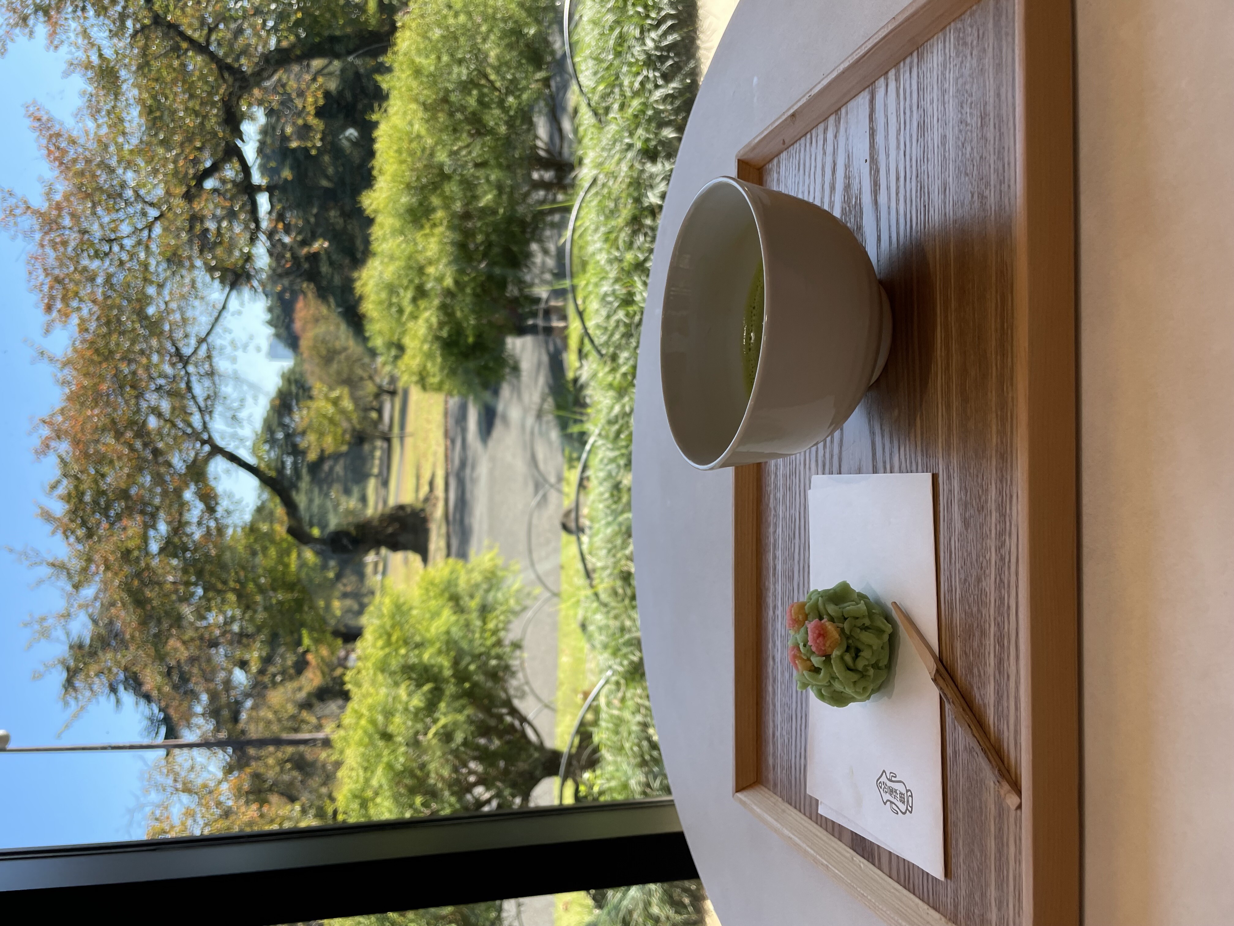 Matcha with a garden view